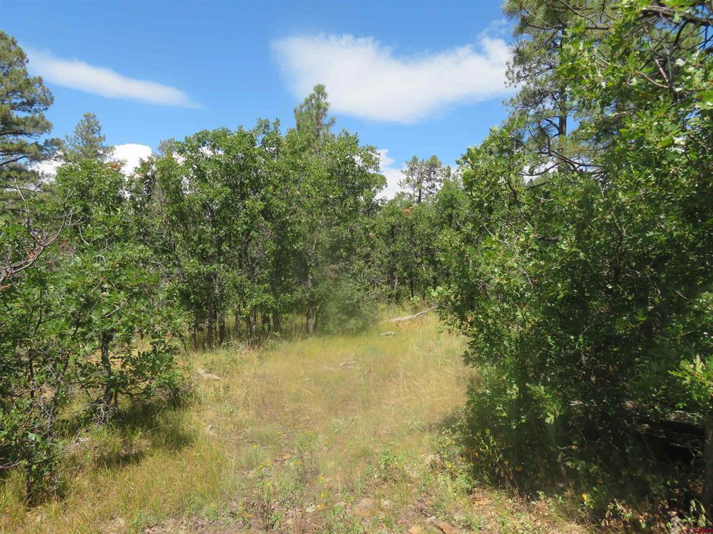 142 Rimview Road Pagosa Springs CO 81147
