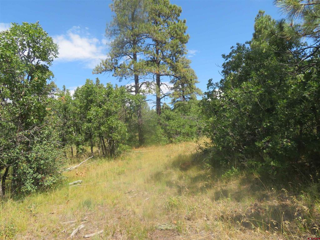 142 Rimview Road Pagosa Springs CO 81147