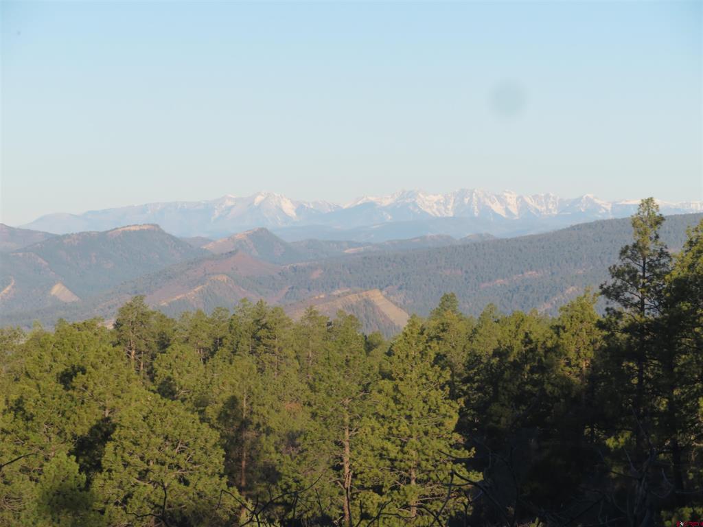 142 Rimview Road Pagosa Springs CO 81147