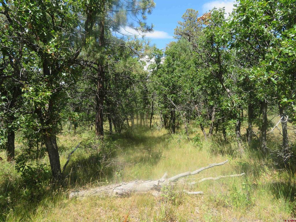 142 Rimview Road Pagosa Springs CO 81147