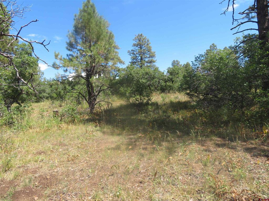 142 Rimview Road Pagosa Springs CO 81147