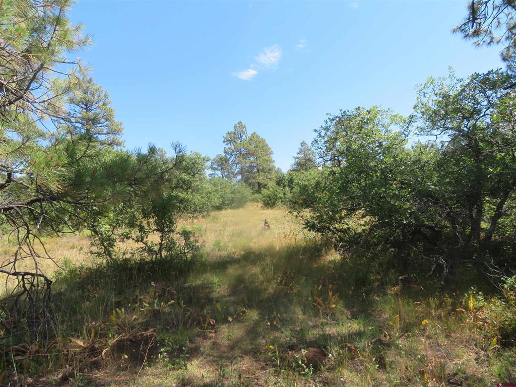 142 Rimview Road Pagosa Springs CO 81147