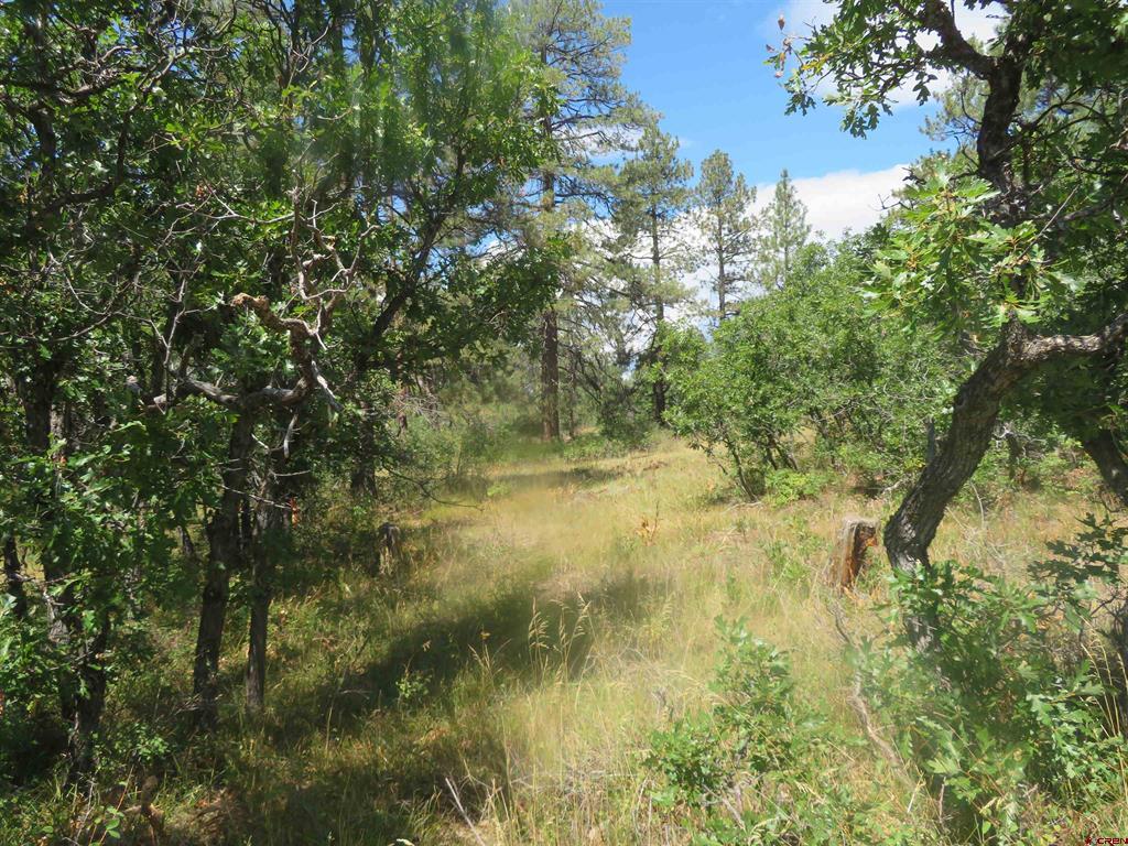 142 Rimview Road Pagosa Springs CO 81147