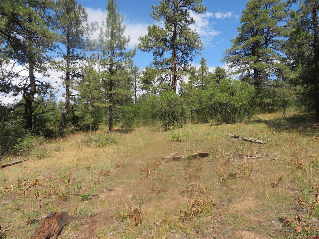 142 Rimview Road Pagosa Springs CO 81147