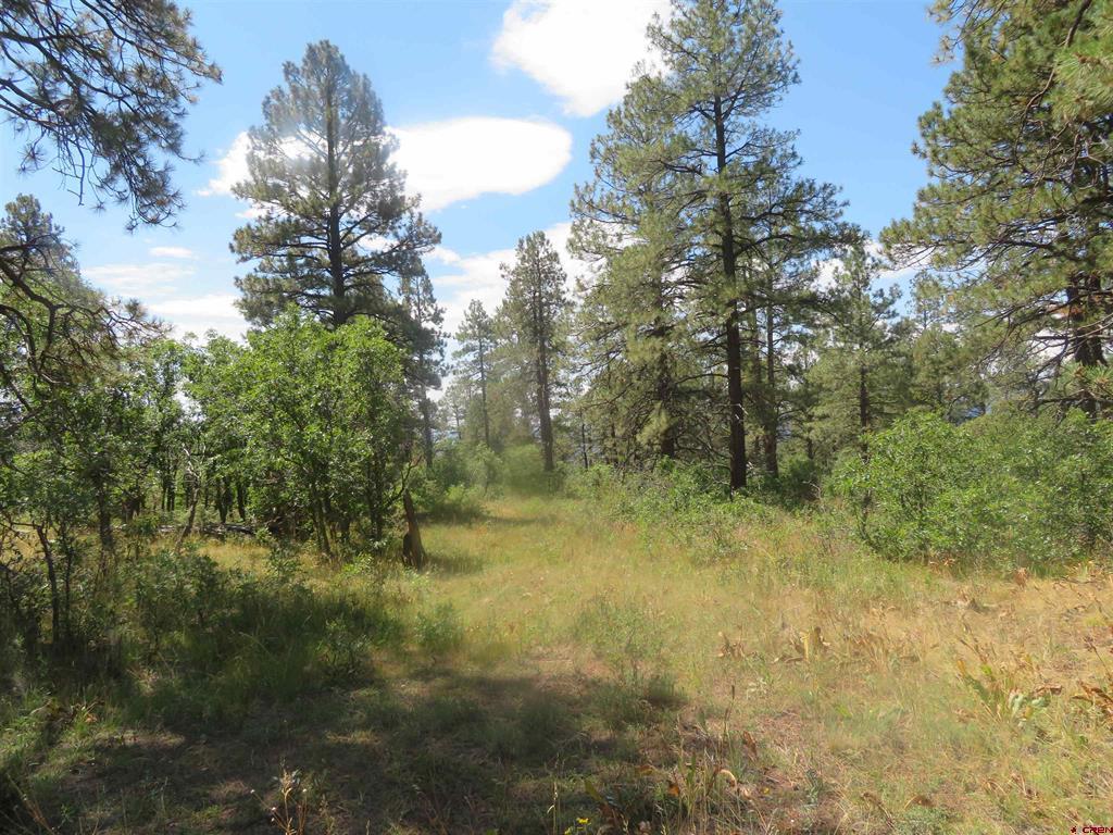 142 Rimview Road Pagosa Springs CO 81147