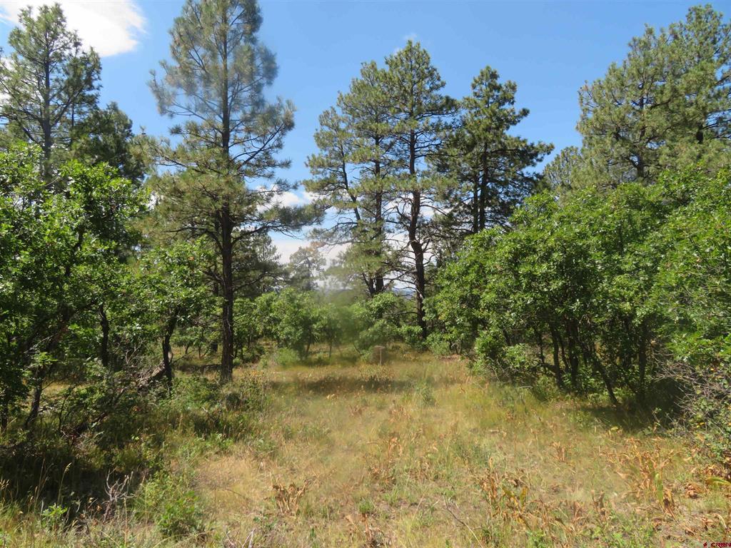 142 Rimview Road Pagosa Springs CO 81147