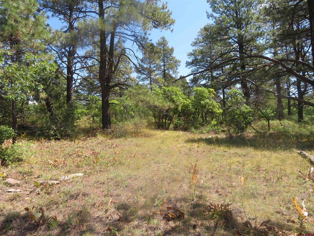 142 Rimview Road Pagosa Springs CO 81147