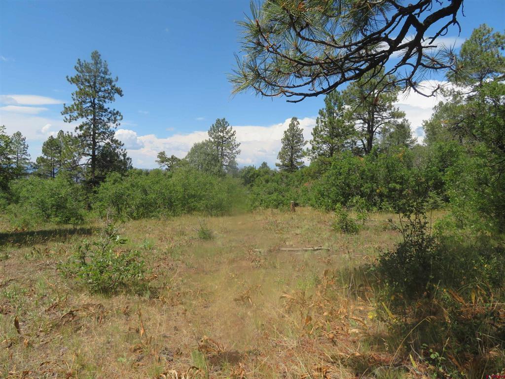 142 Rimview Road Pagosa Springs CO 81147
