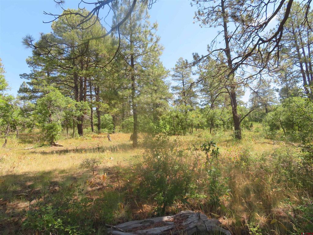 142 Rimview Road Pagosa Springs CO 81147