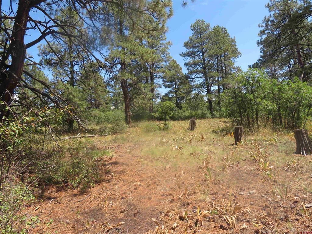 142 Rimview Road Pagosa Springs CO 81147