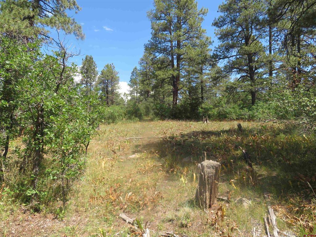 142 Rimview Road Pagosa Springs CO 81147