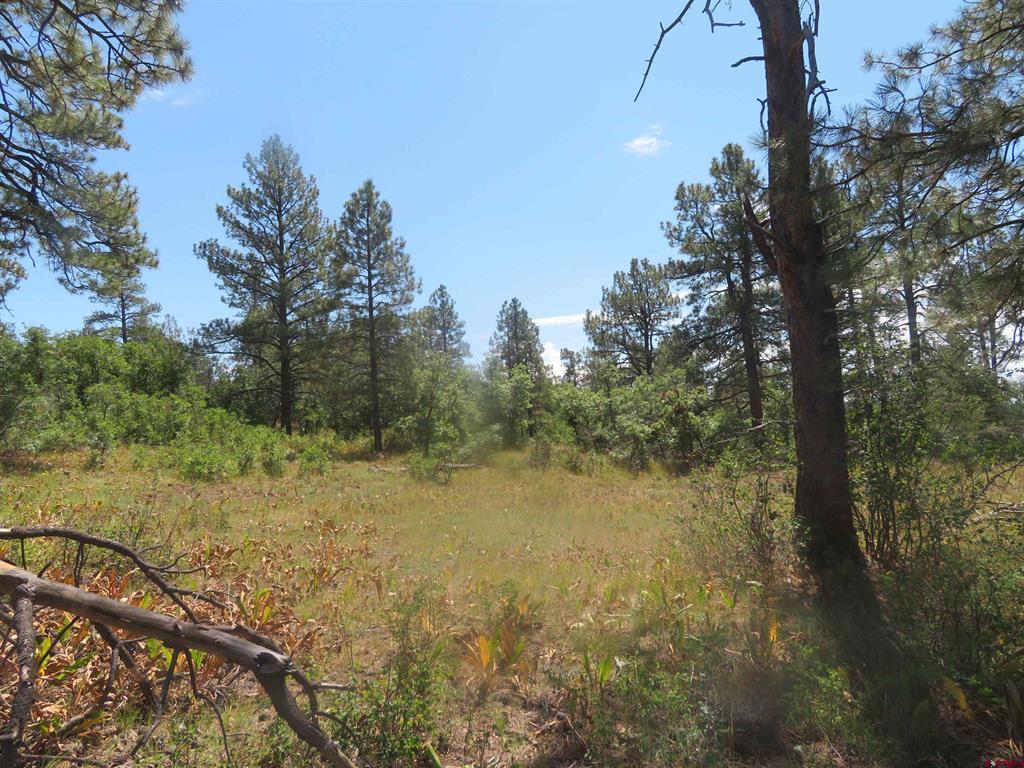 142 Rimview Road Pagosa Springs CO 81147