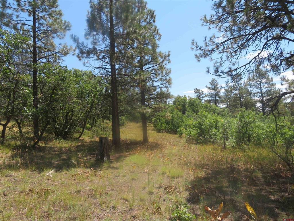 142 Rimview Road Pagosa Springs CO 81147