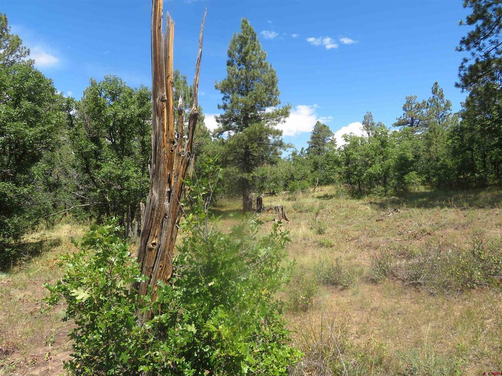 142 Rimview Road Pagosa Springs CO 81147
