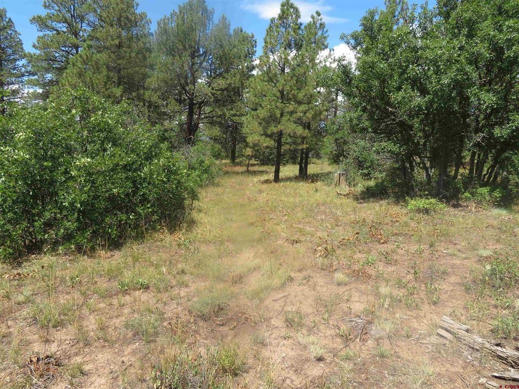 142 Rimview Road Pagosa Springs CO 81147
