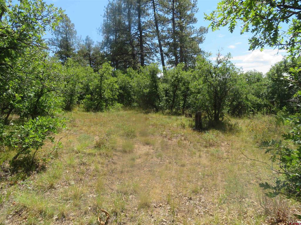 142 Rimview Road Pagosa Springs CO 81147