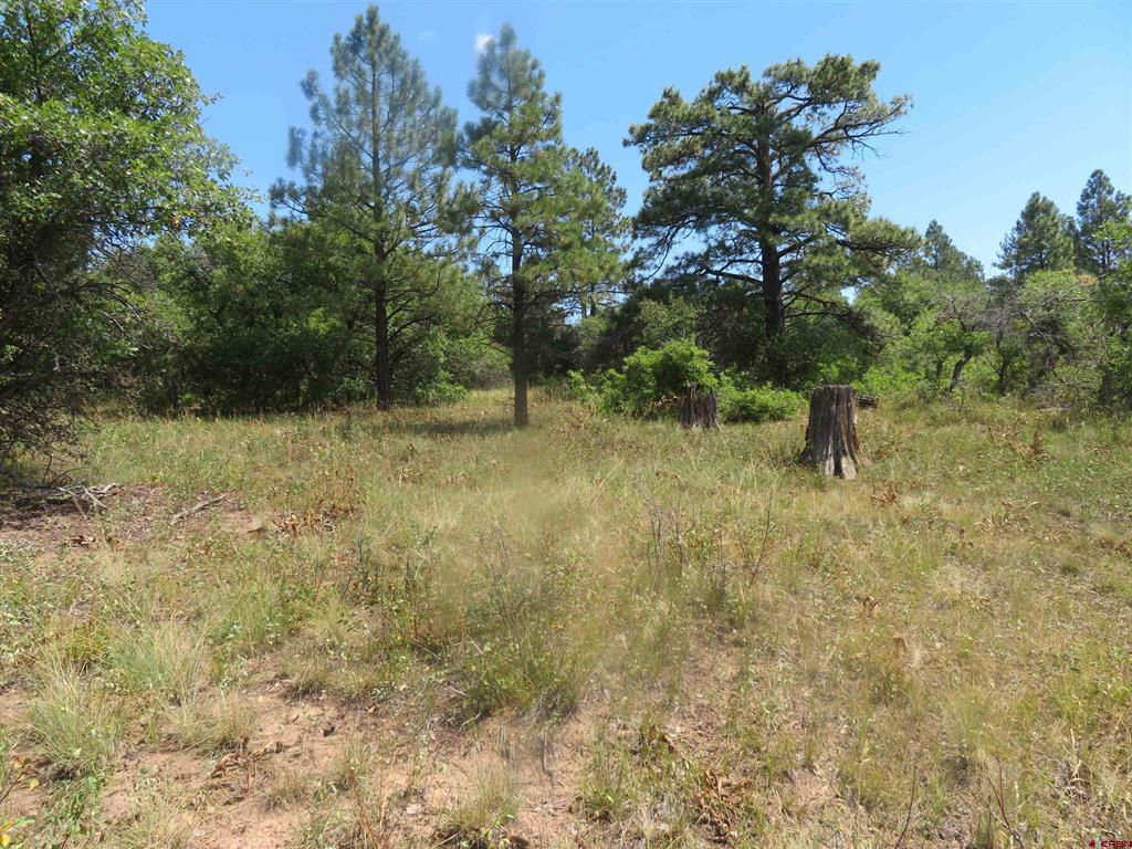 142 Rimview Road Pagosa Springs CO 81147
