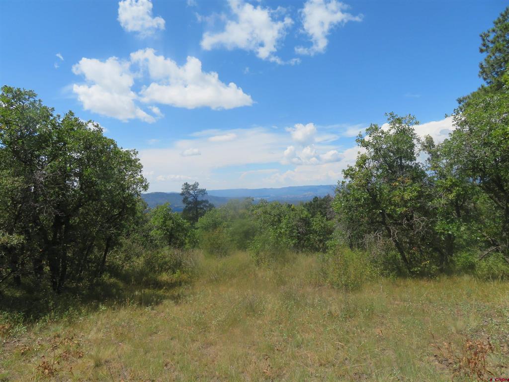 142 Rimview Road Pagosa Springs CO 81147