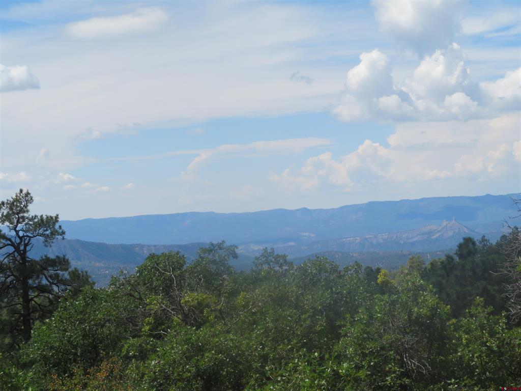 142 Rimview Road Pagosa Springs CO 81147