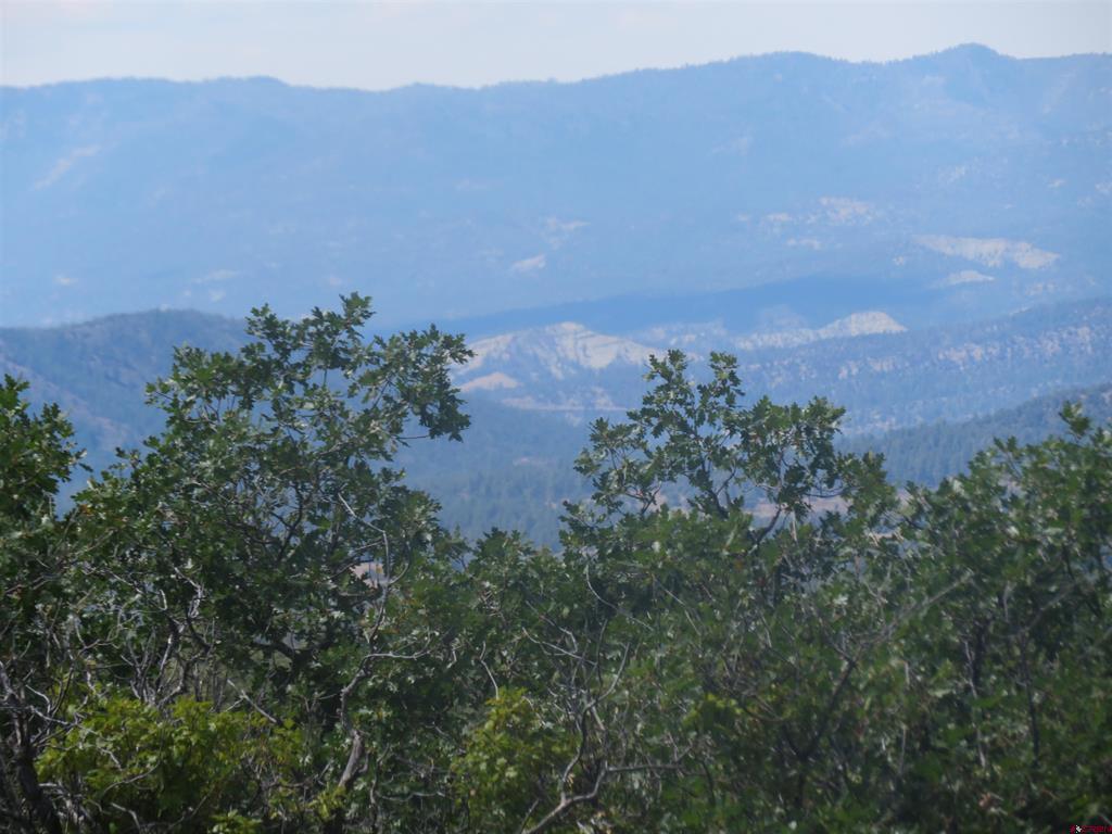 142 Rimview Road Pagosa Springs CO 81147