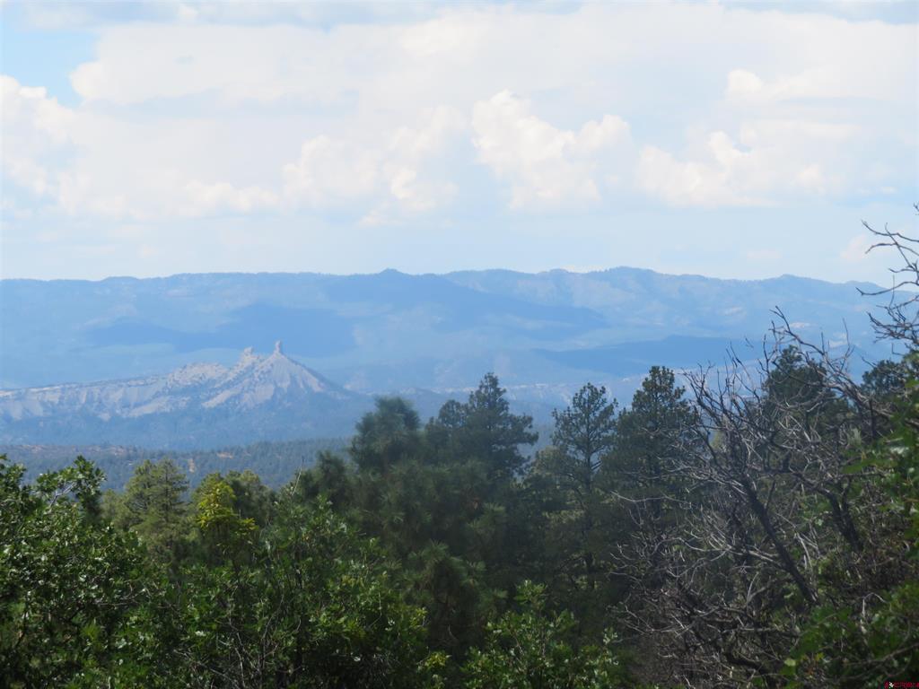 142 Rimview Road Pagosa Springs CO 81147
