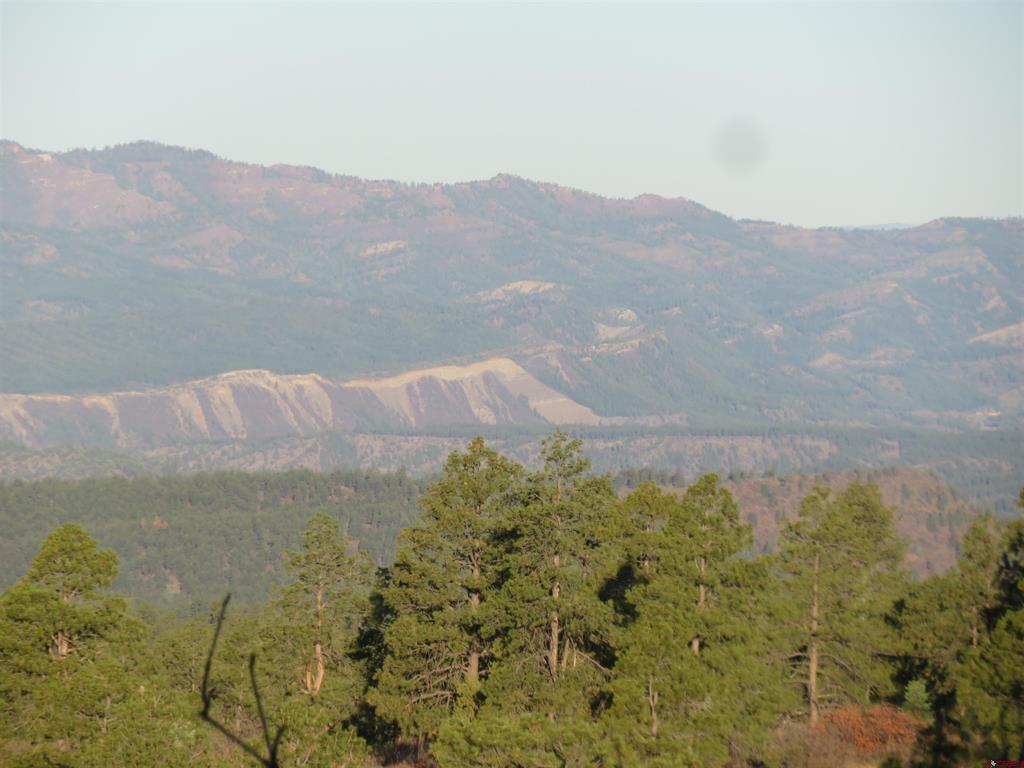 142 Rimview Road Pagosa Springs CO 81147