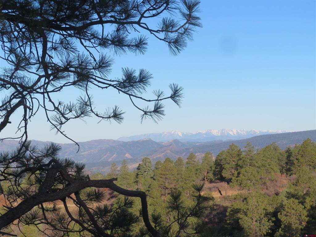 142 Rimview Road Pagosa Springs CO 81147