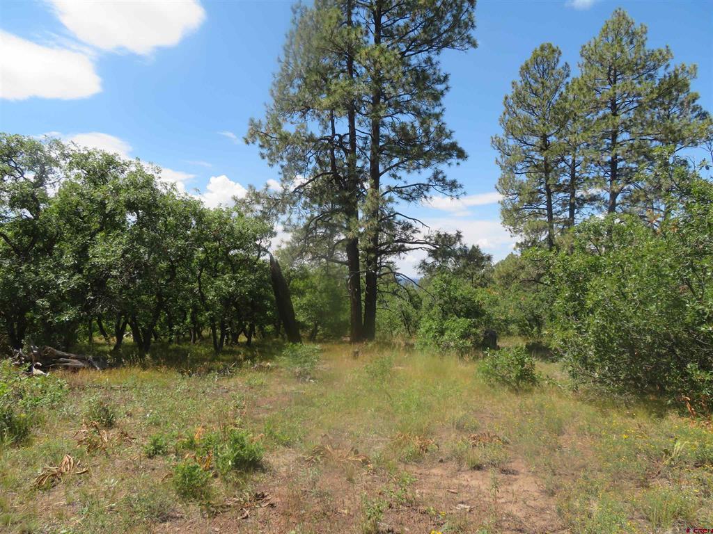 142 Rimview Road Pagosa Springs CO 81147