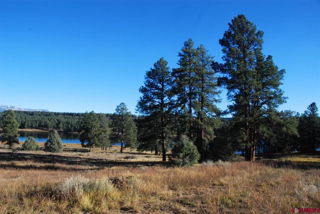 220 Chamisa Place Pagosa Springs CO 81147