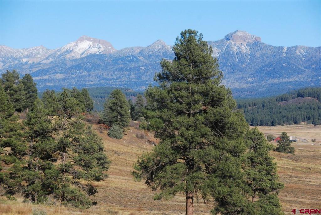 220 Chamisa Place Pagosa Springs CO 81147