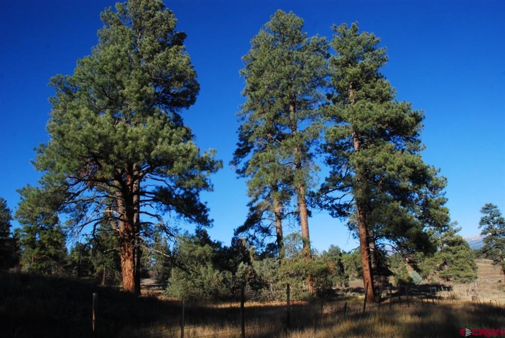 220 Chamisa Place Pagosa Springs CO 81147