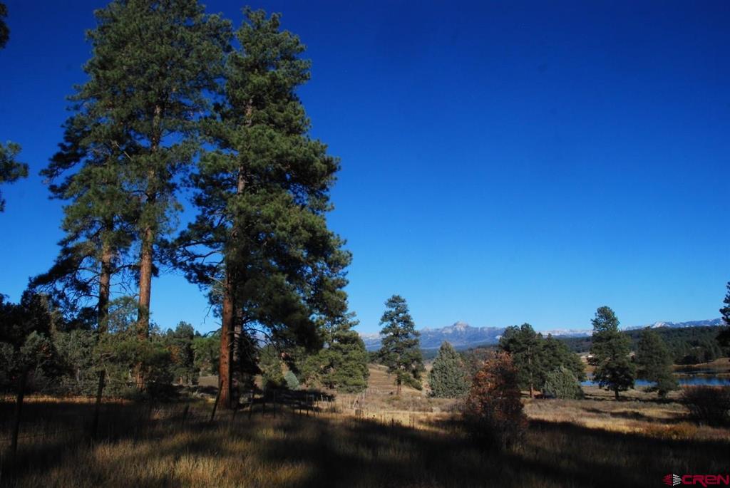 220 Chamisa Place Pagosa Springs CO 81147