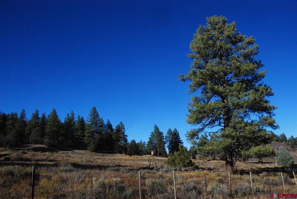 220 Chamisa Place Pagosa Springs CO 81147