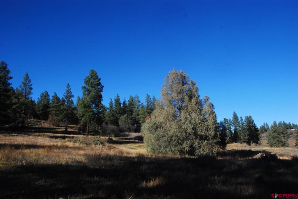 220 Chamisa Place Pagosa Springs CO 81147