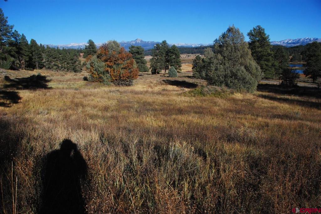 220 Chamisa Place Pagosa Springs CO 81147