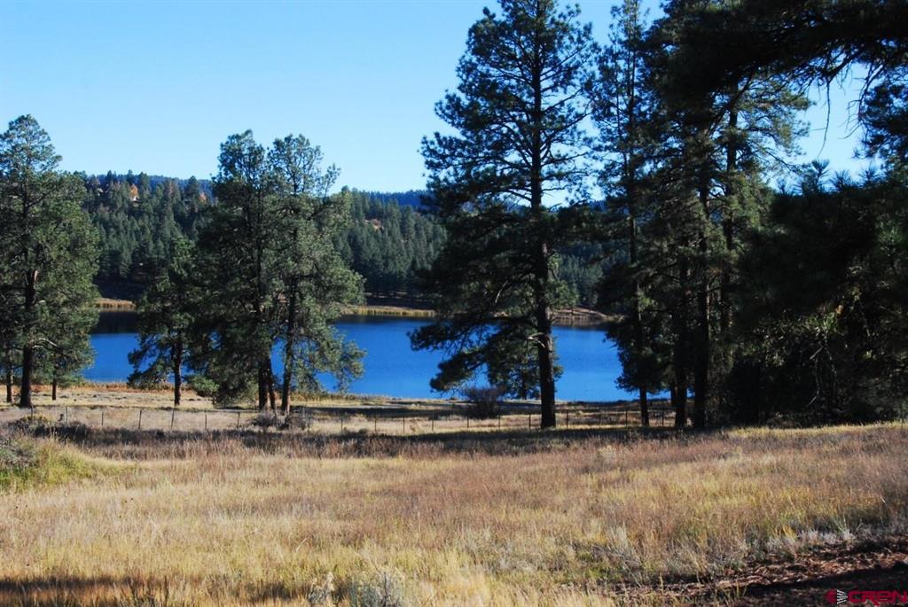 220 Chamisa Place Pagosa Springs CO 81147