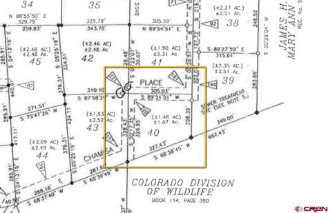 220 Chamisa Pagosa Springs CO 81147