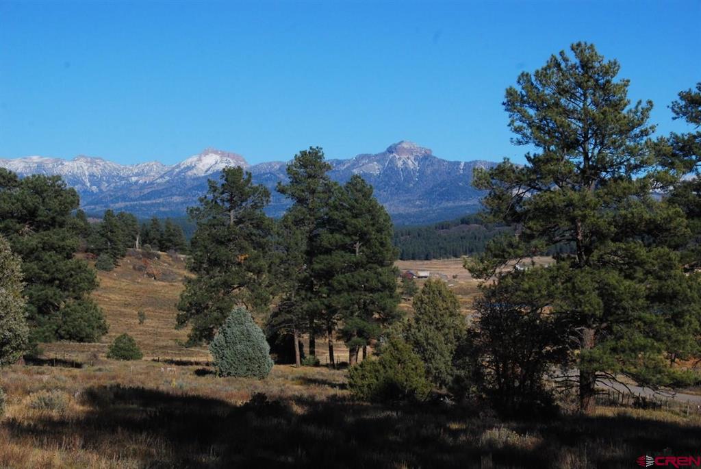 220 Chamisa Place Pagosa Springs CO 81147
