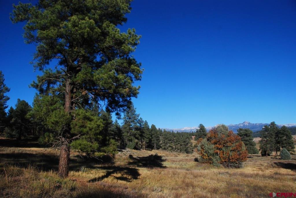220 Chamisa Place Pagosa Springs CO 81147