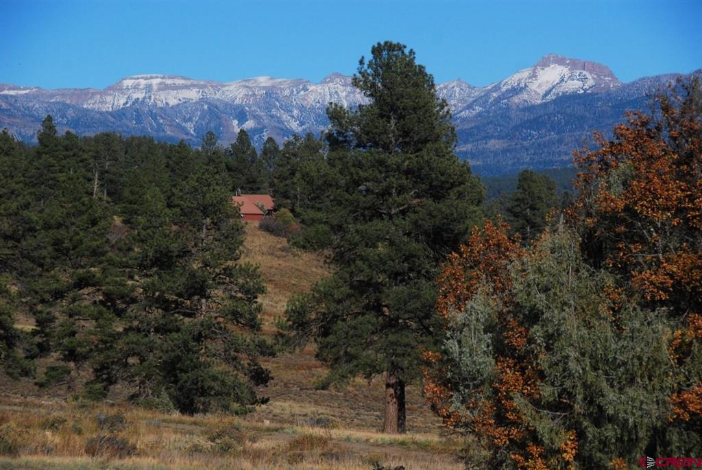 220 Chamisa Place Pagosa Springs CO 81147