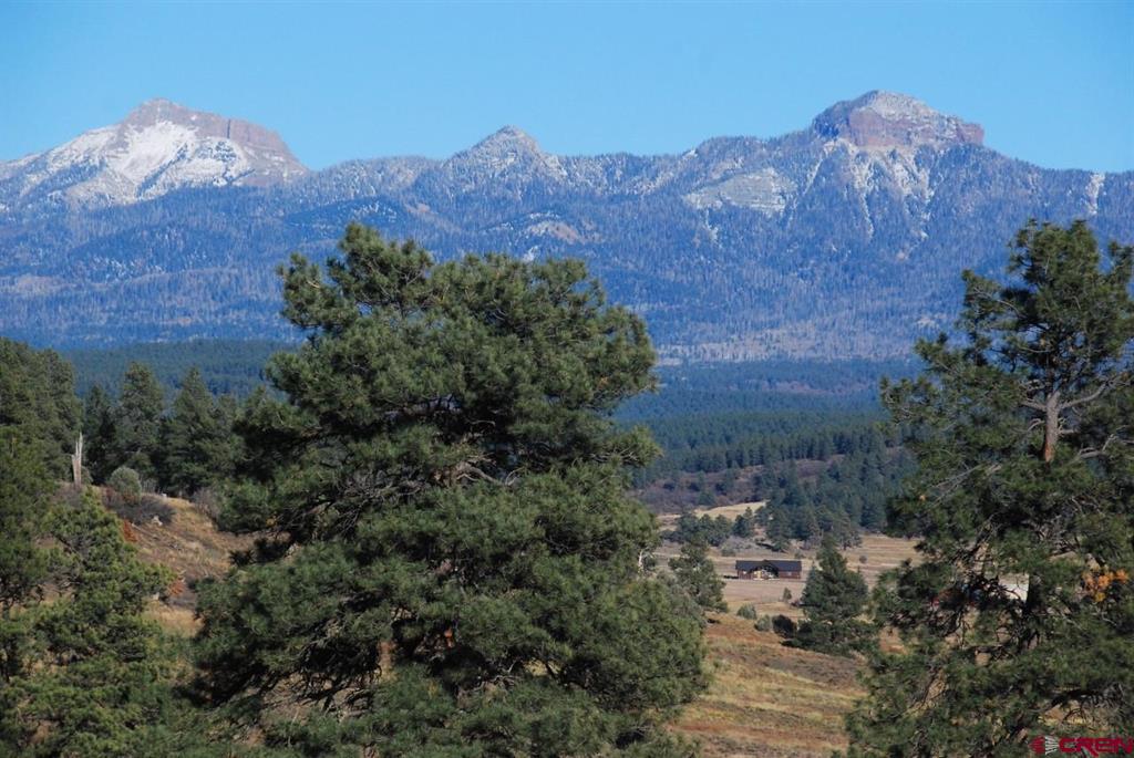 220 Chamisa Place Pagosa Springs CO 81147