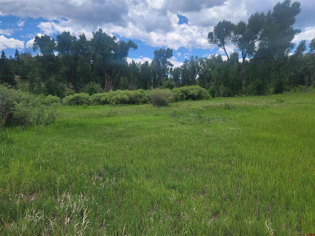 31098 Highway 160 South Fork CO 81154