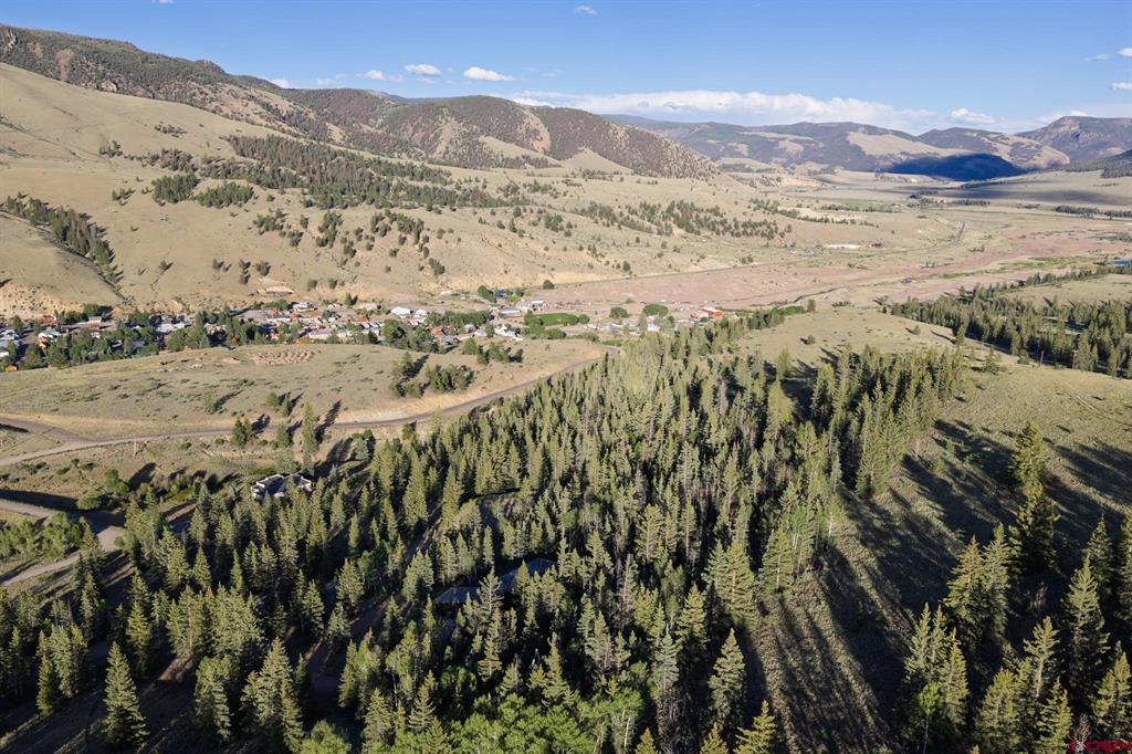 510 Molly S Drive Creede CO 81130
