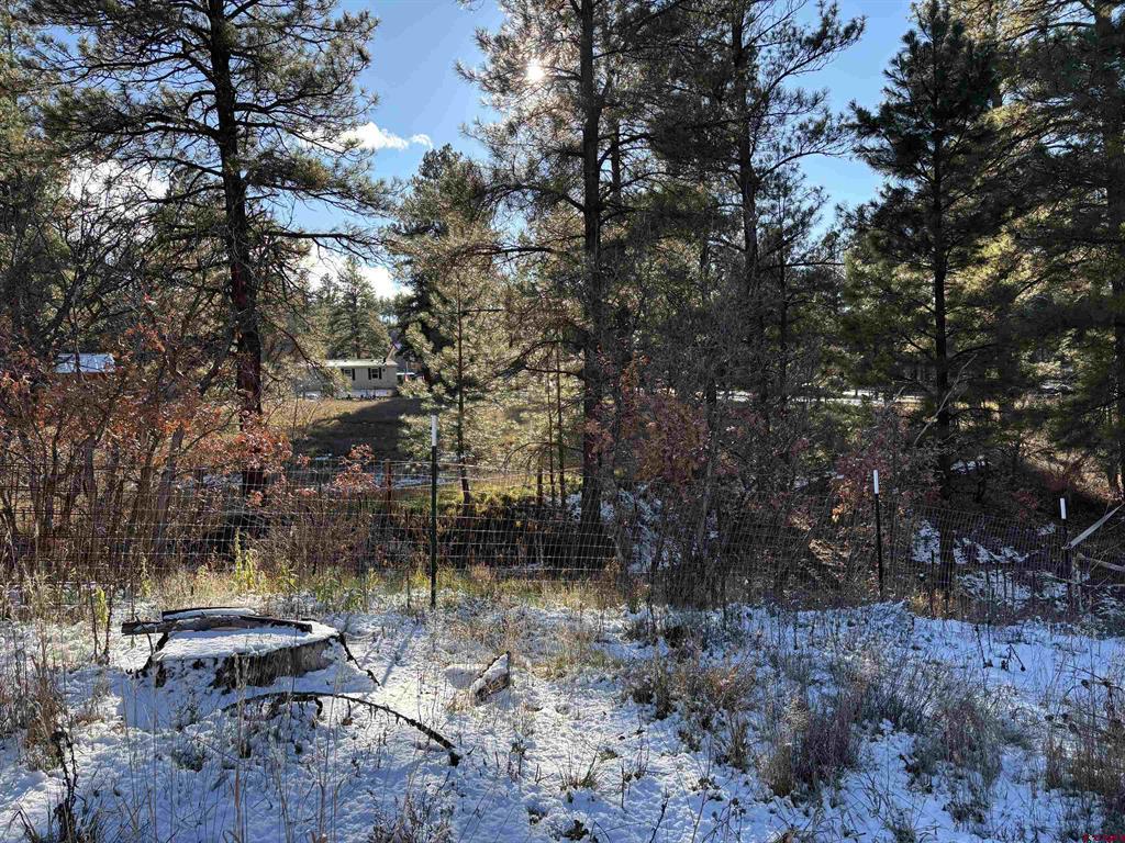 520 Hilltop Drive Pagosa Springs CO 81147