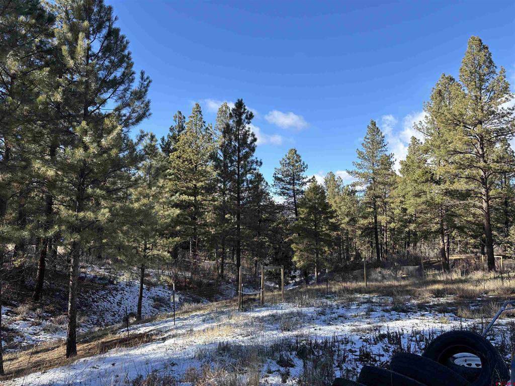 520 Hilltop Drive Pagosa Springs CO 81147