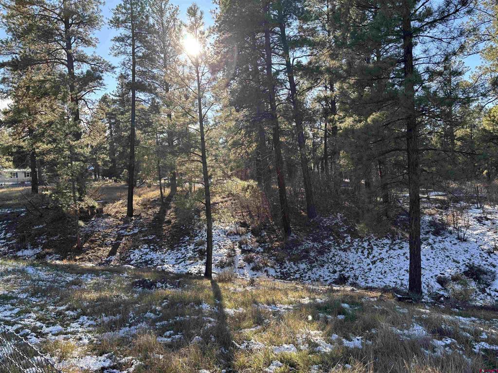 520 Hilltop Drive Pagosa Springs CO 81147