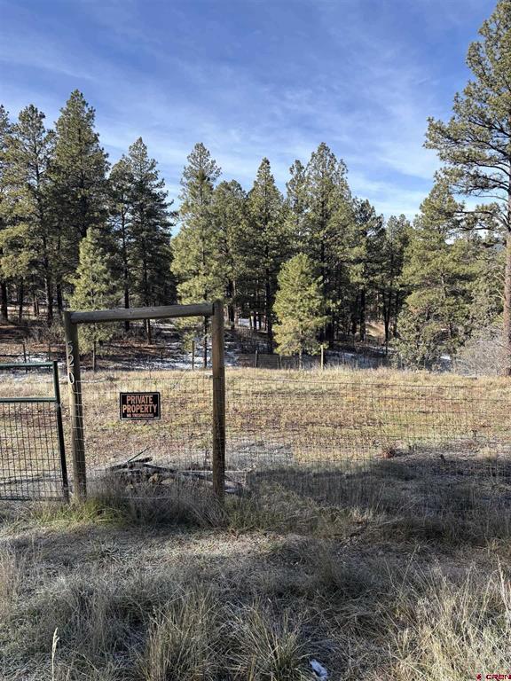 520 Hilltop Drive Pagosa Springs CO 81147