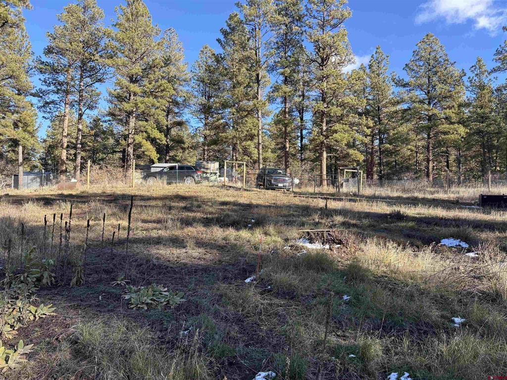 520 Hilltop Drive Pagosa Springs CO 81147