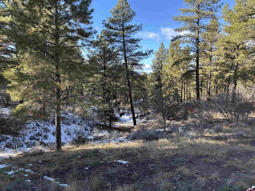 520 Hilltop Drive Pagosa Springs CO 81147