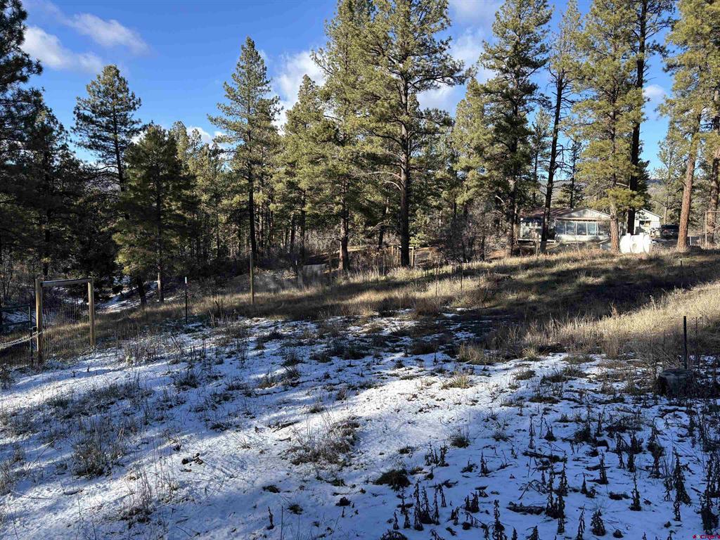 520 Hilltop Drive Pagosa Springs CO 81147